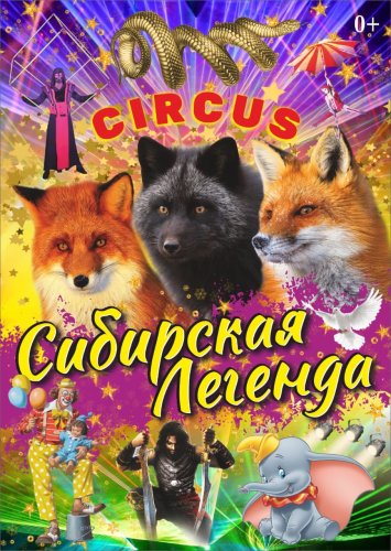 Приходите в цирк!
