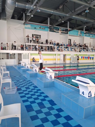 Плавать – могу. Судить – тоже!