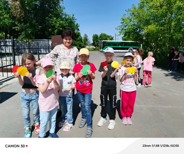 Книга, солнце, дружба