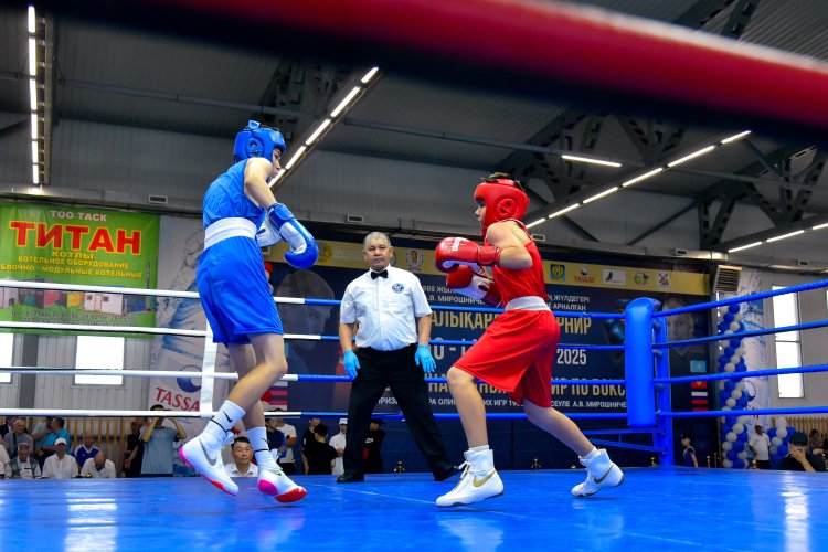 Жаркие бои и новые друзья