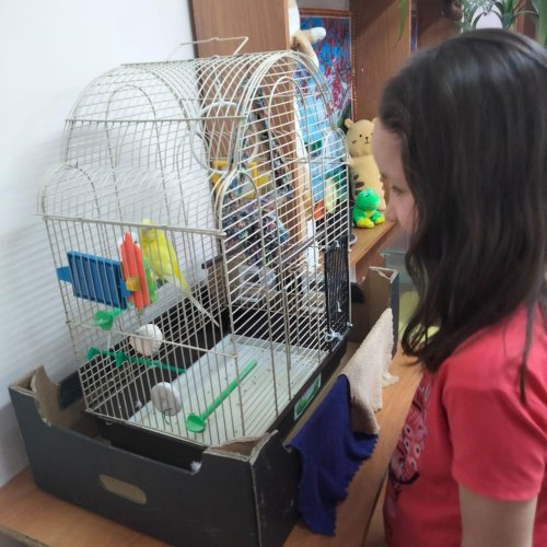 С природой на одной волне