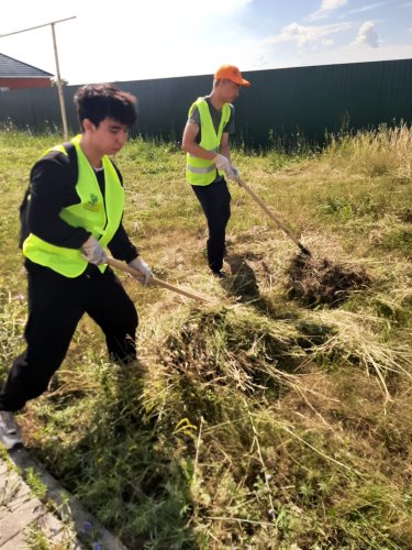 Навстречу чистой стране